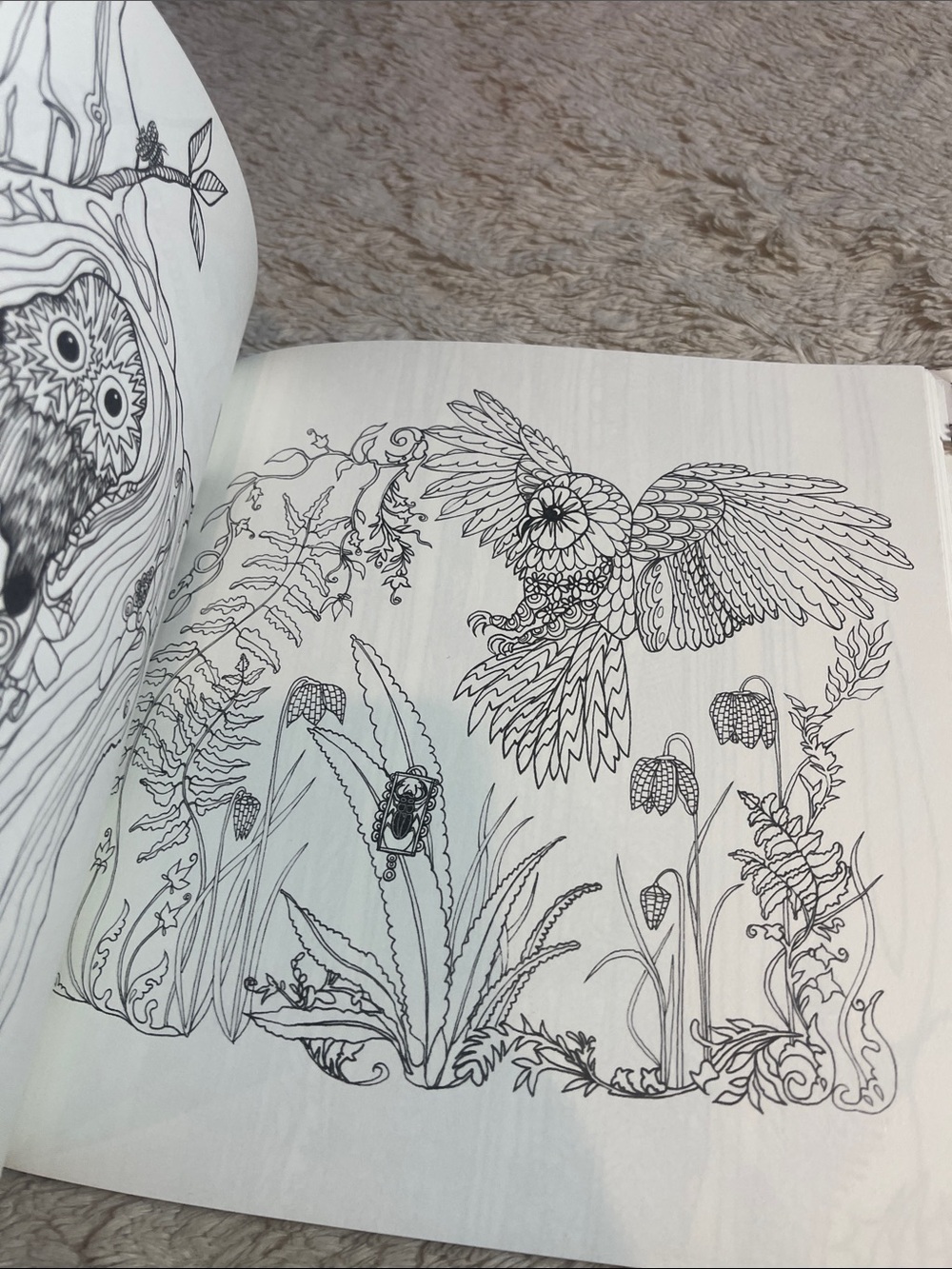Tangle Wood Coloring Book by Jessica Palmer - Black & White Cover - Picture 5 of 6